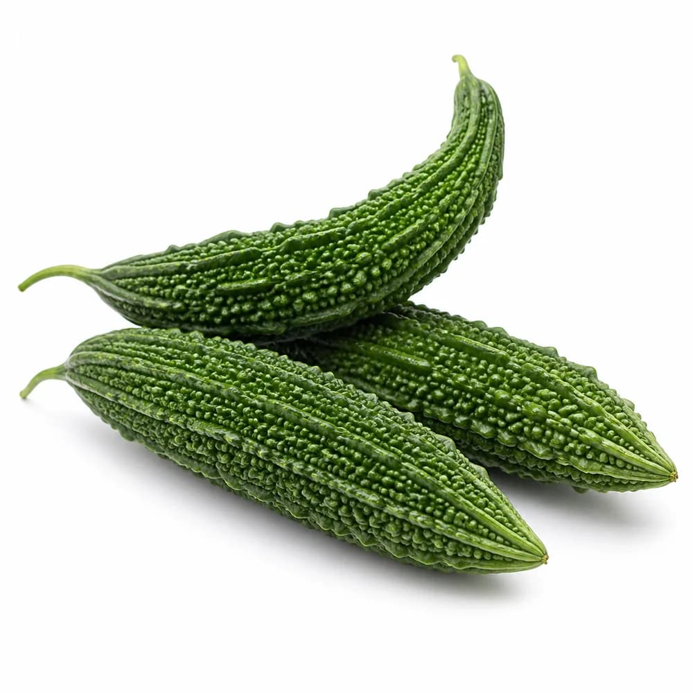 Karela (Bitter Gourd) — AI illustration