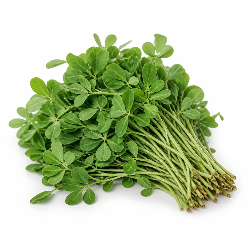 Fresh Methi (Fenugreek Leaves) — AI illustration
