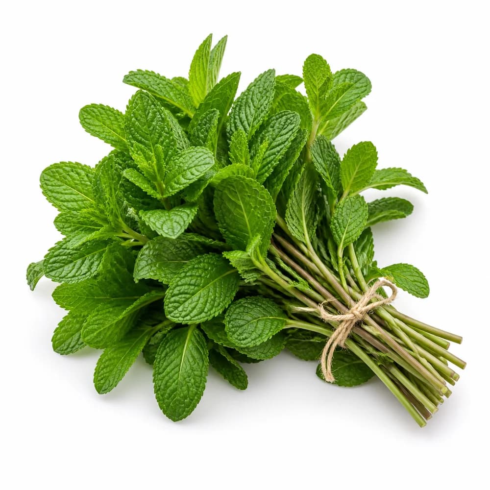 Fresh Mint — AI illustration