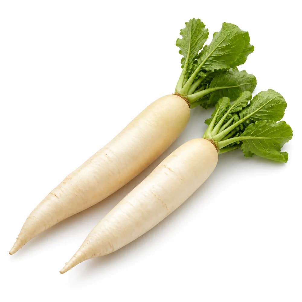 Mooli (White Radish) — AI illustration