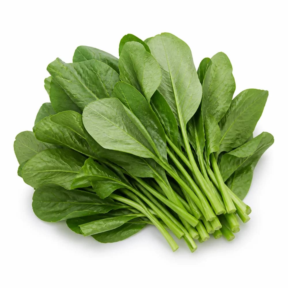 Fresh Saag — AI illustration