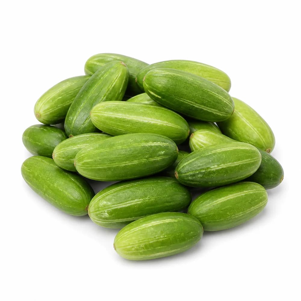 Tindori (Ivy Gourd) — AI illustration