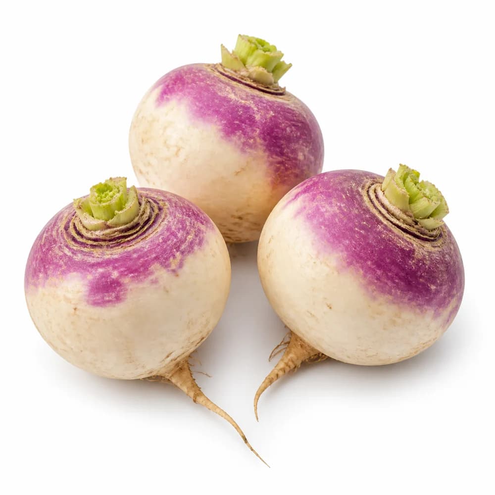 Turnip — AI illustration