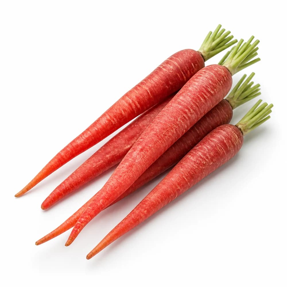 Indian Carrot — AI illustration