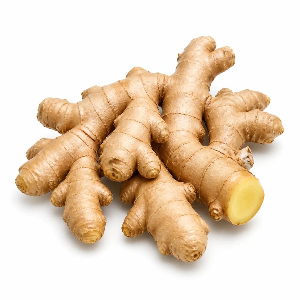 Indian Ginger — AI illustration