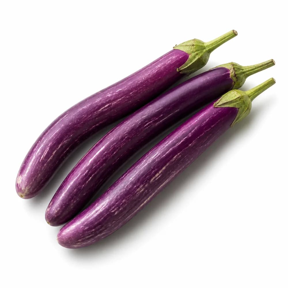 Long Aubergine (Sri Lanka) — AI illustration