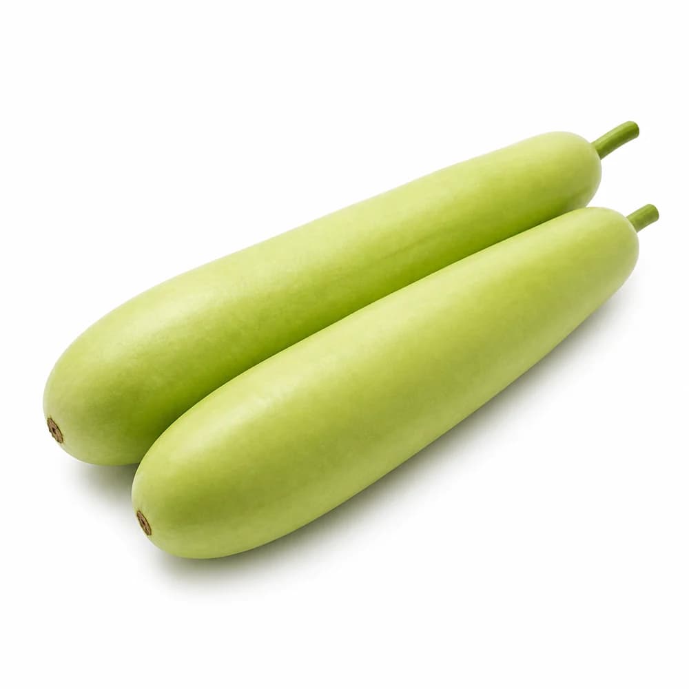 Long Dudhi (Bottle Gourd) — AI illustration