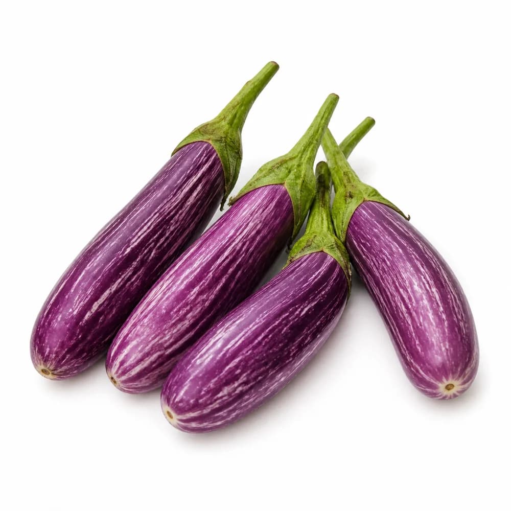 Long Ravaiya Aubergine — AI illustration