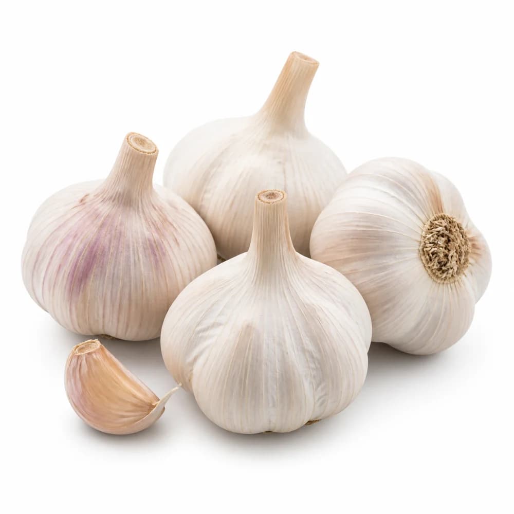 Loose Garlic — AI illustration