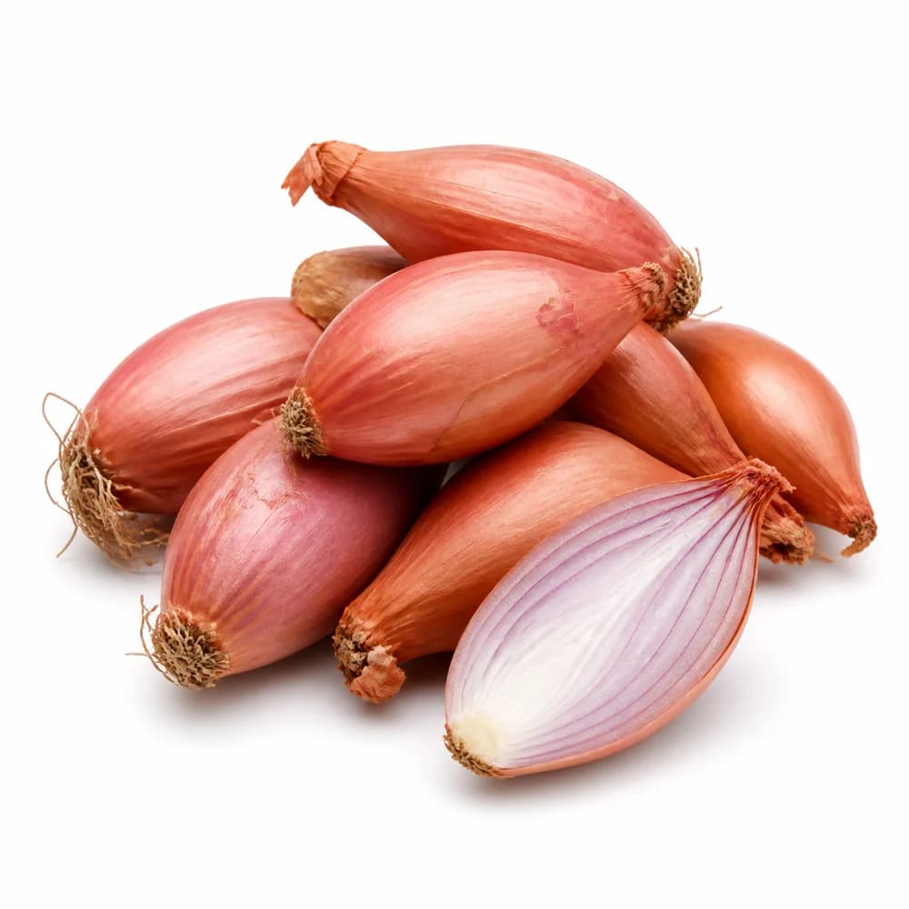 Loose Shallot Onions — AI illustration