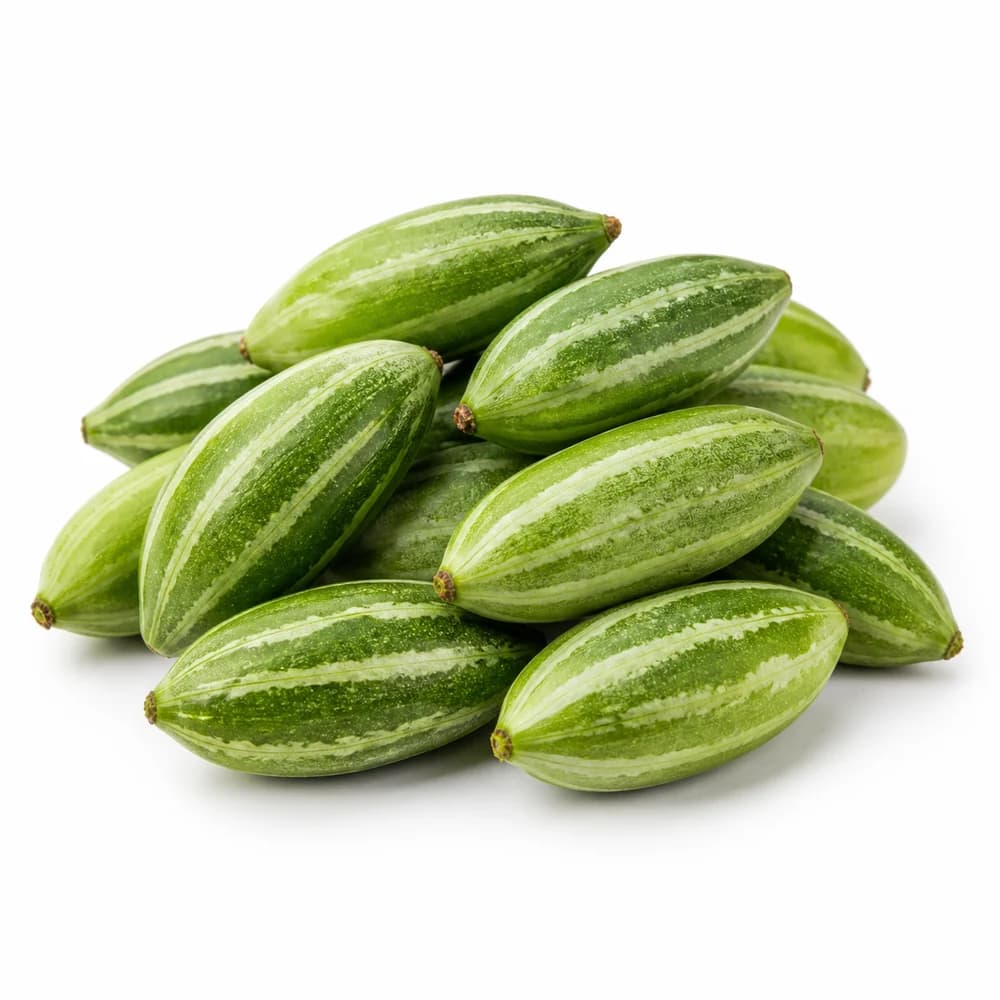 Parval (Pointed Gourd, Small Box) — AI illustration