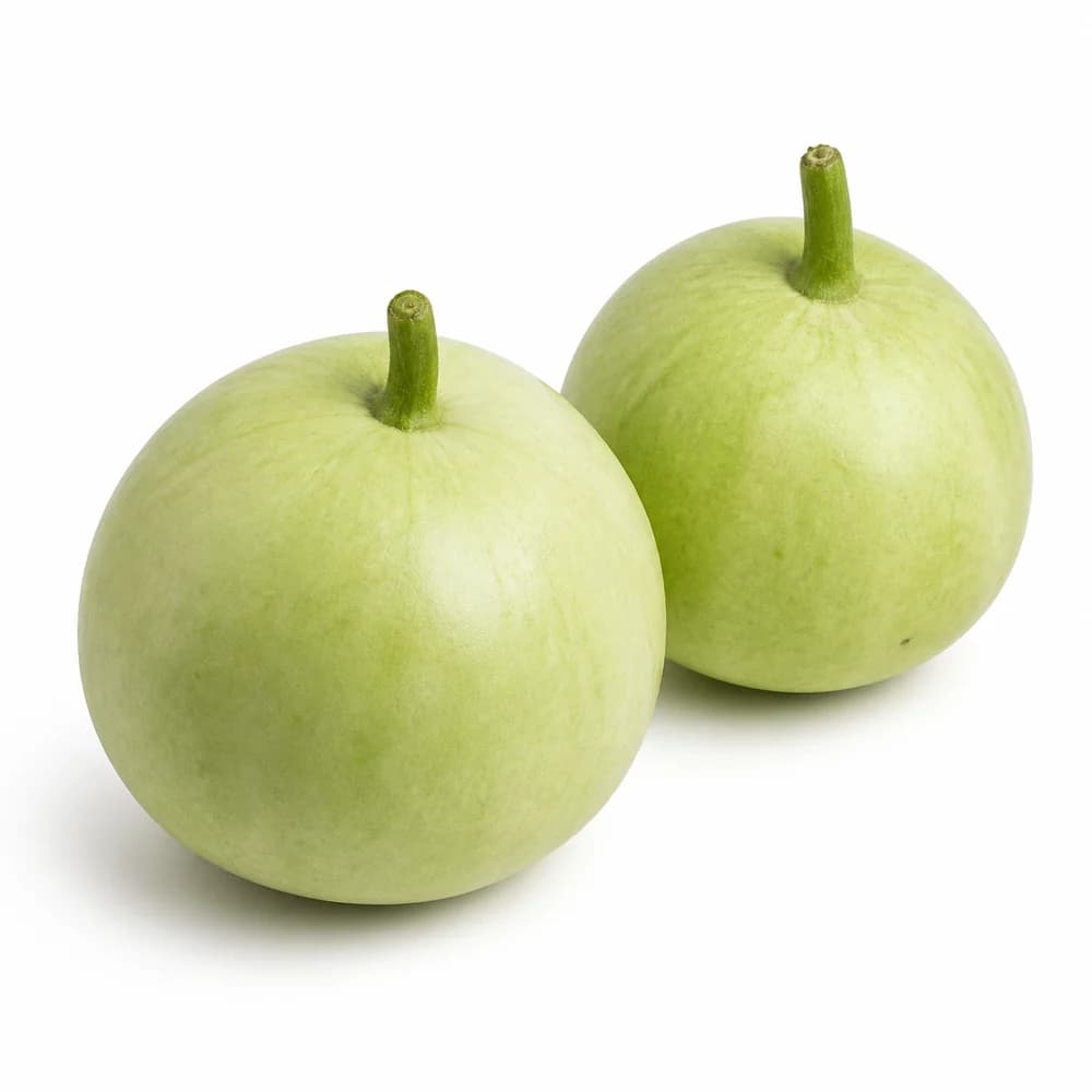 Round Dudhi (Bottle Gourd) — AI illustration