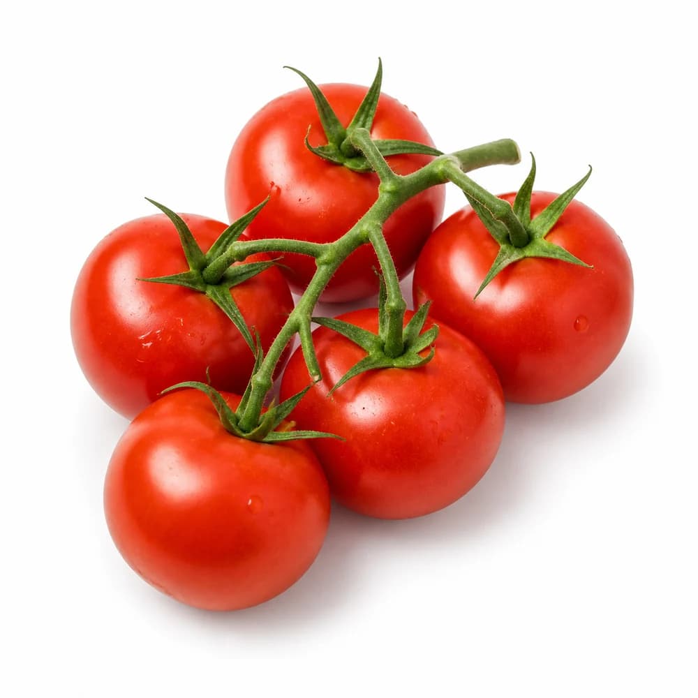 Vine Tomatoes — AI illustration